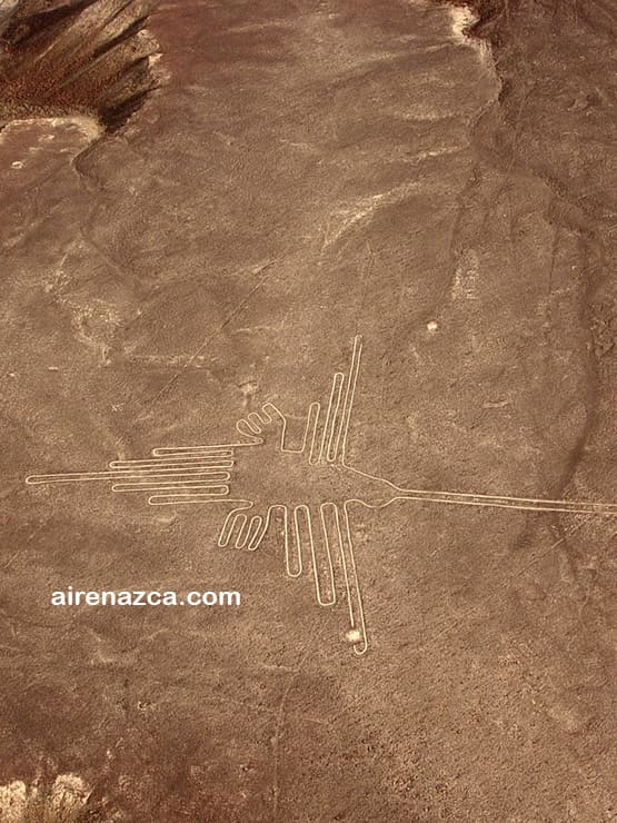 tour a las lineas de nazca